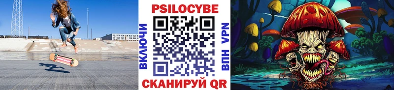 купить закладку Сясьстрой это какой сайт Галлюциногенные грибы Psilocybine cubensis МЕГА зеркало
